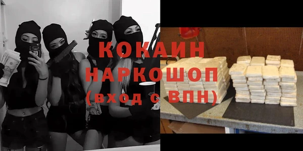 mdpv Горно-Алтайск