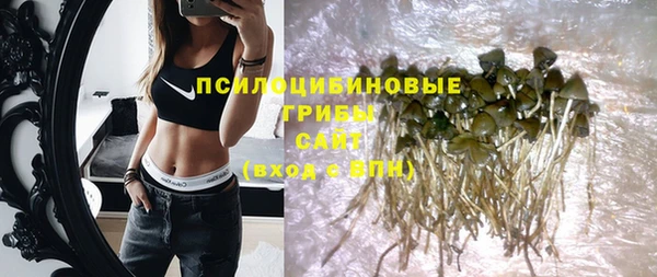 дживик Горнозаводск